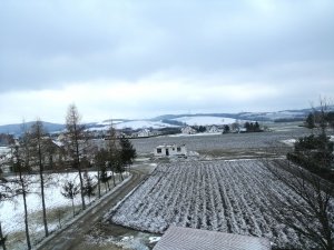 Widok na okolicę