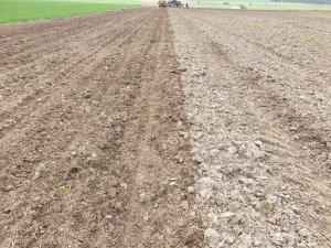 Bezorkowy siew kukurydzy 🌽