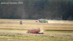 Bizon Super Z056 & Claas Tucano430