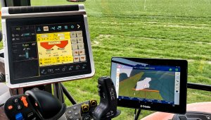 Jęczmień ozimy LG Veronika 10.04.2021