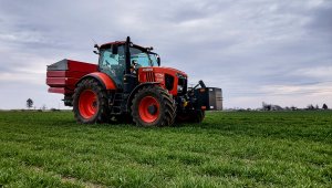 Jęczmień ozimy LG Veronika 10.04.2021