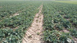 LG Ambassador 11.04.2021