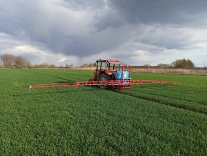 Massey Ferguson 255&Biardzki