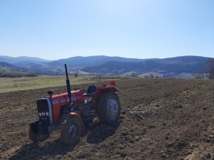 Massey Ferguson 255 & brony 3