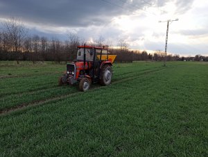 Massey Ferguson 255 & Langren