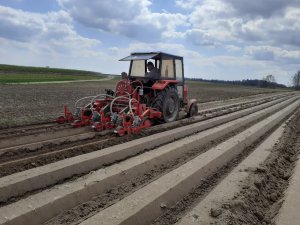 Massey Ferguson 255 i siewnik