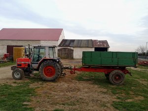 Massey Ferguson 3050 & przyczepa SAM