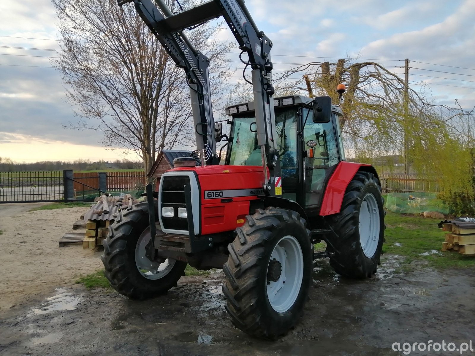 Obraz Ciągnik Massey Ferguson 6160 Id 798813 Galeria Rolnicza Agrofoto