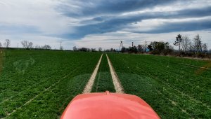 Pszenica ozima RGT Metronom 10.04.2021