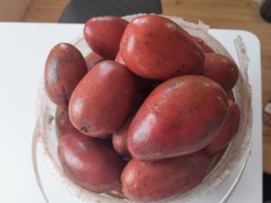 Ziemniaki Red Fantasy