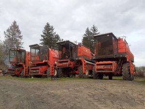 2x bizon gigant z083 & 2x bizon bs z110