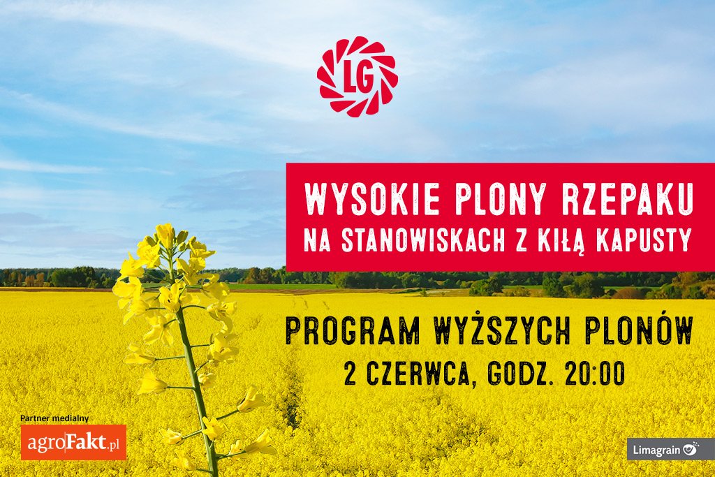Wysokie i stabilne plony rzepaku ozimego na stanowiskach z kiłą kapusty? To możliwe!