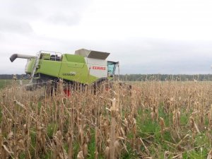 CLAAS LEXION 770 