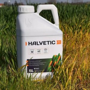 Halvetic - oparty na glifosacie herbicyd nieselektywny