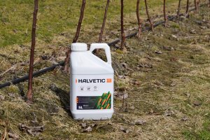 Halvetic - oparty na glifosacie herbicyd nieselektywny
