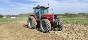 Massey Ferguson 3090