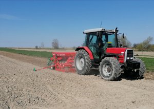 Massey Ferguson 6140 - Siew soi