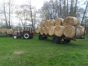 Zetor 8011+laweta 