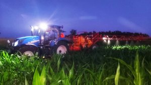 Dokarmianie dolistne