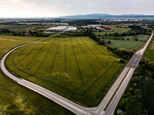 Jęczmień ozimy 12.06.2021