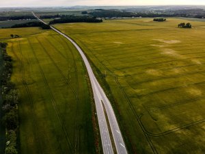 Jęczmień ozimy 12.06.2021