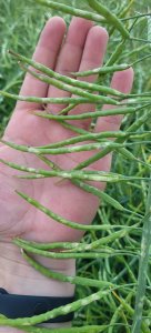 LG Architekt 25.06.2021