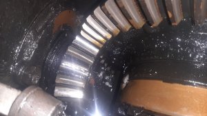 Łożysko w tylnym moście Ursus C-360 