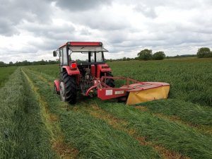 Massey Ferguson + Kosiarka Z178