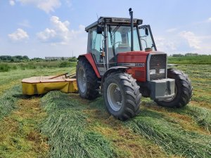 Massey Ferguson 3050