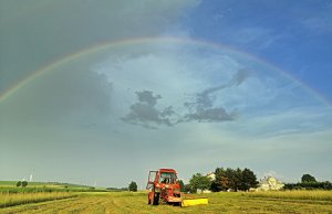 Mtz 82 & Kosiarka rotacyjna