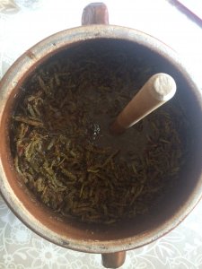 Naturalny syrop z sosny