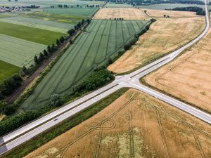 Pszenica ozima 26.06.2021 z drona