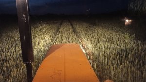 Ursus C-360-3P + RAU 660 l/12 m