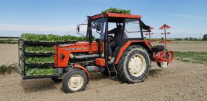 Ursus 4011 & Checchi & Magli Dual 12 Gold