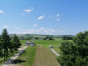 Widok na okolicę