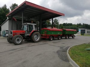 Massey Ferguson 3080 + przyczepy