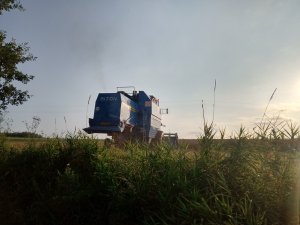 Bizon Rekord Z058 (milenijny)