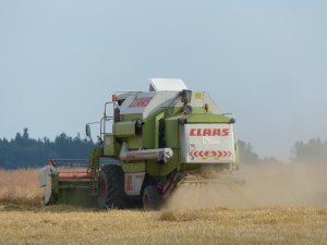 Claas Dominator 98 SL Classic