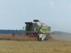 Claas Dominator 98 SL Classic