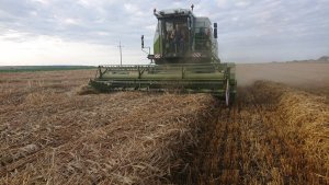 Fortschritt MDW E 524 