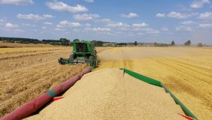 John Deere 1470 i jęczmień ozimy