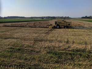 Koszenie rzepaku, nh tx66