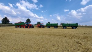 Kubota m7152 m7060 z przyczepami