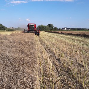 Massey Ferguson Activa