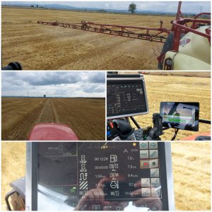 rsm i bakterie na ściernisko