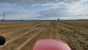 talerzowanie ścierniska