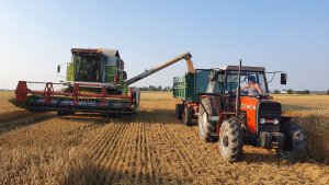 Ursus 4514&Claas Dominator 