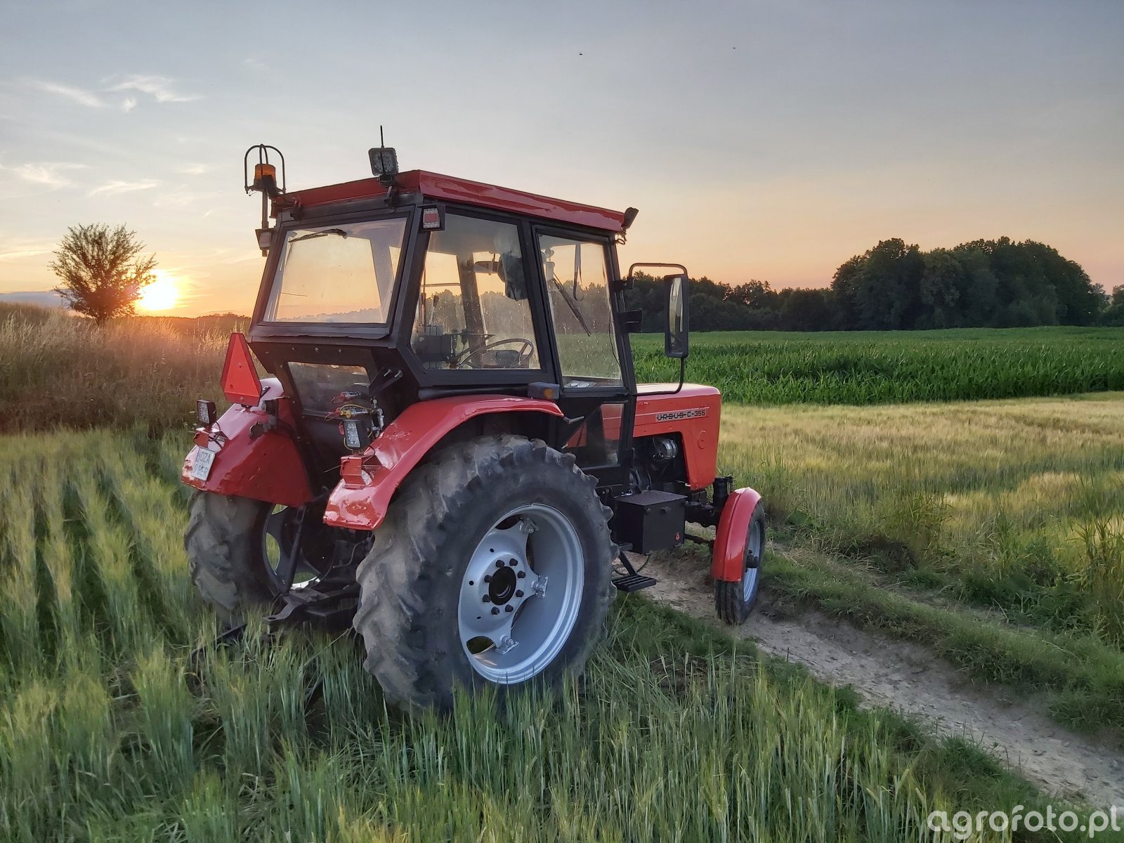 Foto Traktor Ursus C Id Galeria Rolnicza Agrofoto