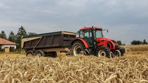 Zetor Forterra 11441 + SIAM