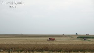 Bizon Super Z056x3 & Massey Ferguson